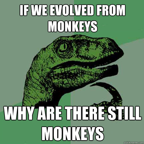 If we evolved from monkeys why are there still monkeys - If we evolved from monkeys why are there still monkeys  Philosoraptor