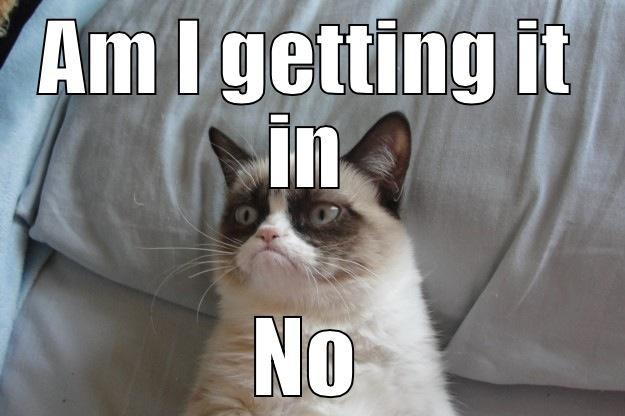 humpday grumpycat - AM I GETTING IT IN NO Grumpy Cat