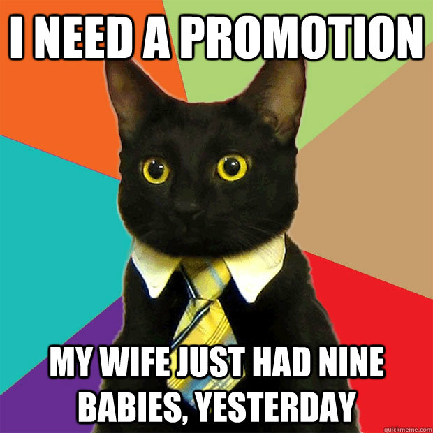 I NEED A PROMOTION MY WIFE JUST HAD NINE BABIES, YESTERDAY  Business Cat