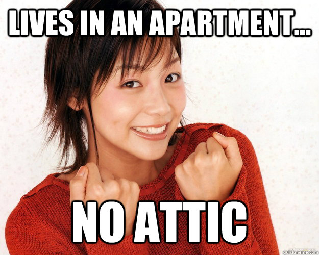 lives in an apartment... no attic  