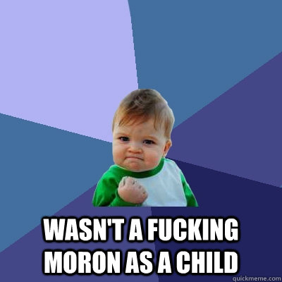  Wasn't a fucking moron as a child  Success Kid