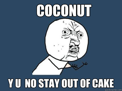 coconut y u  no stay out of cake  Y U No