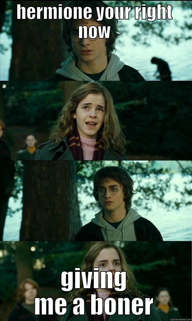 HERMIONE YOUR RIGHT NOW GIVING ME A BONER Horny Harry