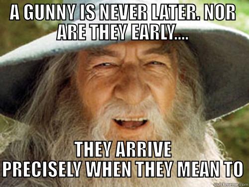 Gunny gANDALF - A GUNNY IS NEVER LATER. NOR ARE THEY EARLY.... THEY ARRIVE PRECISELY WHEN THEY MEAN TO Misc