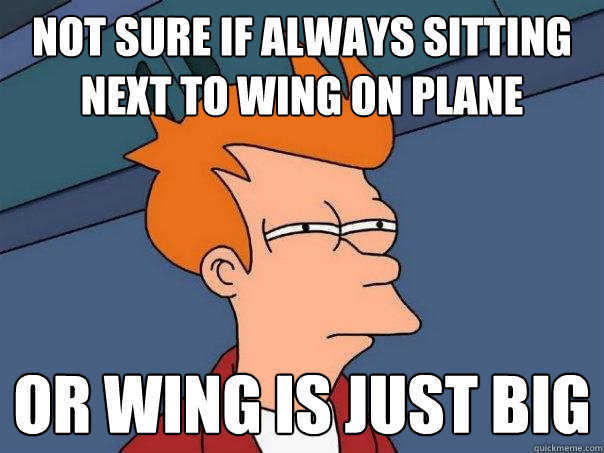 NOT SURE IF ALWAYS SITTING NEXT TO WING ON PLANE  OR WING IS JUST BIG  Futurama Fry