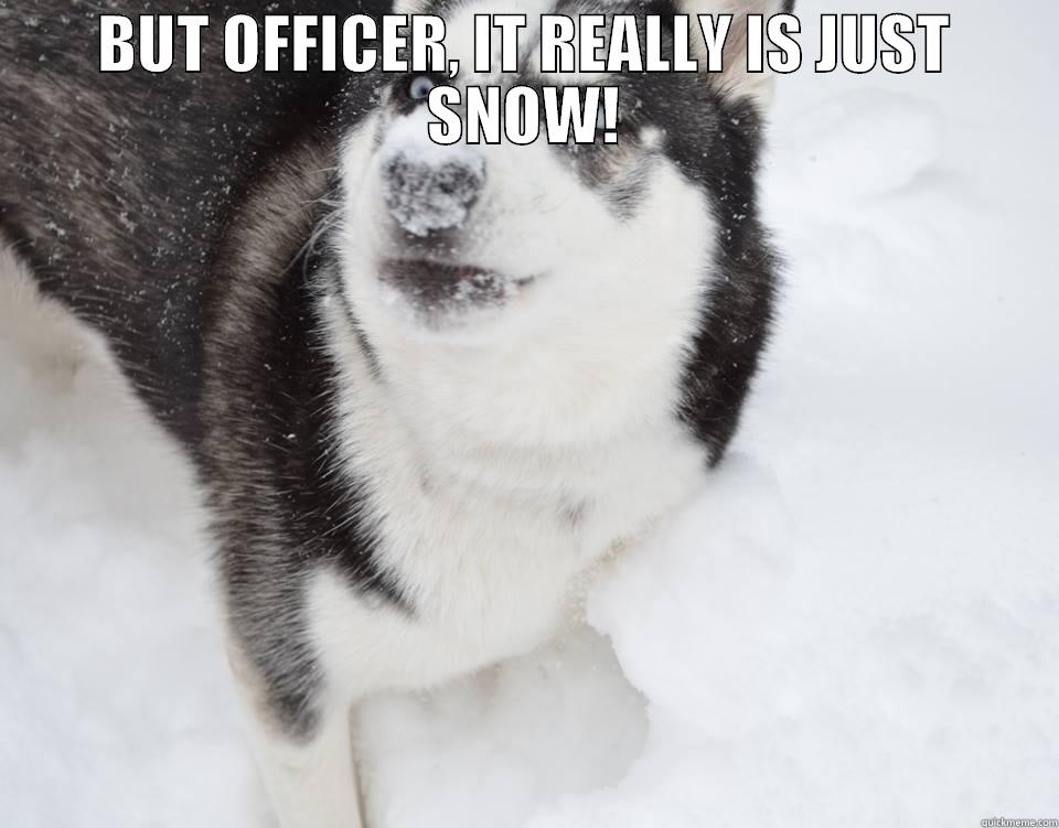 BUT OFFICER, IT REALLY IS JUST SNOW!  Misc