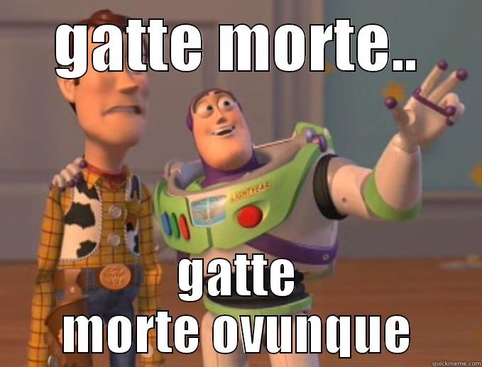 gatte morte - GATTE MORTE.. GATTE MORTE OVUNQUE Misc