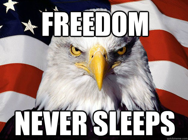 freedom never sleeps  Patriotic Eagle