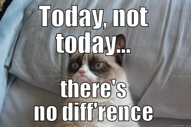 TODAY, NOT TODAY... THERE'S NO DIFF'RENCE Grumpy Cat