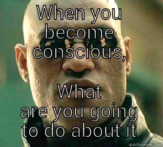 WHEN YOU BECOME CONSCIOUS, WHAT ARE YOU GOING TO DO ABOUT IT Matrix Morpheus