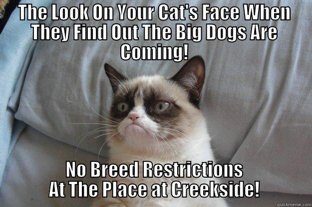 THE LOOK ON YOUR CAT'S FACE WHEN THEY FIND OUT THE BIG DOGS ARE COMING! NO BREED RESTRICTIONS AT THE PLACE AT CREEKSIDE! Grumpy Cat