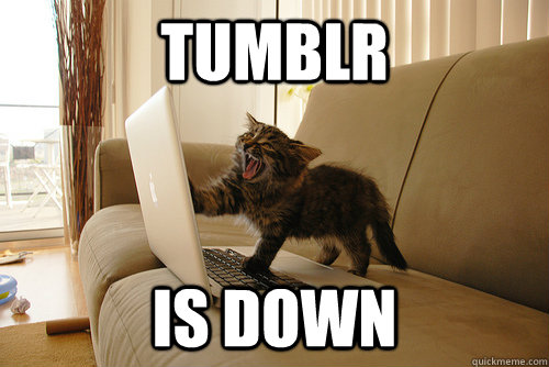 TUMBLR IS DOWN  Internet Rage Kitten