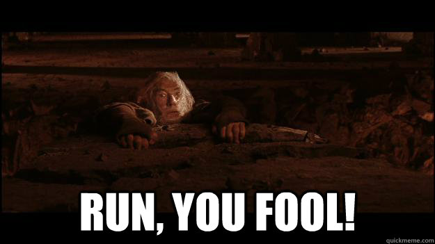  RUN, YOU FOOL!  Gandalf