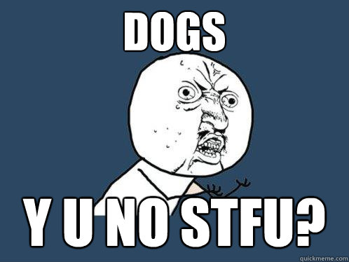 dogs y u no stfu? - dogs y u no stfu?  Y U No