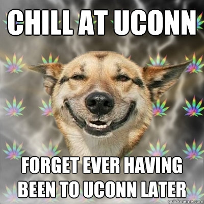 Chill at Uconn Forget ever having been to UConn later  Stoner Dog