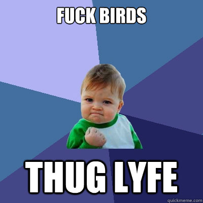 Fuck birds Thug Lyfe  Success Kid