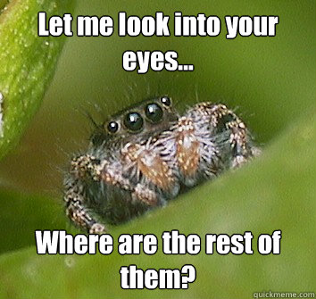 Let me look into your eyes... Where are the rest of them?  Misunderstood Spider