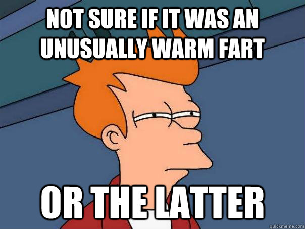 NOT SURE IF it was an unusually warm fart or the latter   Futurama Fry