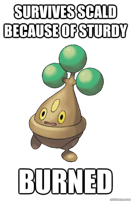 Survives Scald because of Sturdy Burned - Survives Scald because of Sturdy Burned  Bad Luck Bonsly