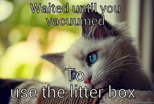 Why do I own three cats?  - WAITED UNTIL YOU VACUUMED TO USE LITTER BOX First World Problems Cat