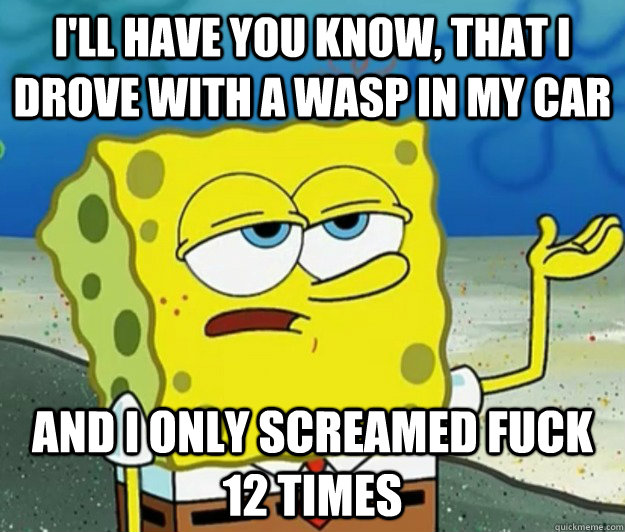 I'll have you know, that I drove with a wasp in my car And I only screamed fuck 12 times  Tough Spongebob