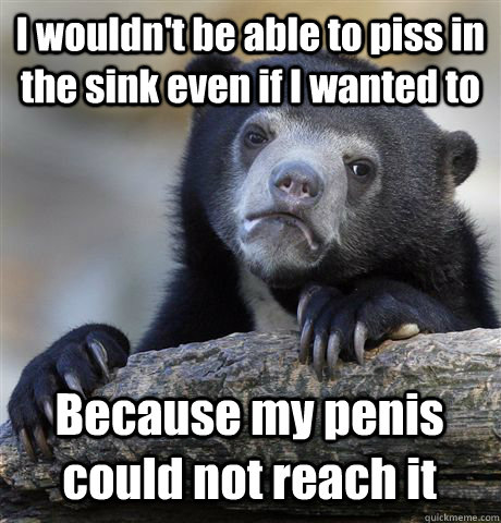 I wouldn't be able to piss in the sink even if I wanted to Because my penis could not reach it  Confession Bear