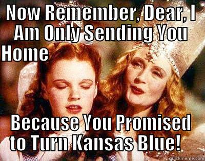 NOW REMEMBER, DEAR, I AM ONLY SENDING YOU HOME                                                         BECAUSE YOU PROMISED TO TURN KANSAS BLUE!    Misc