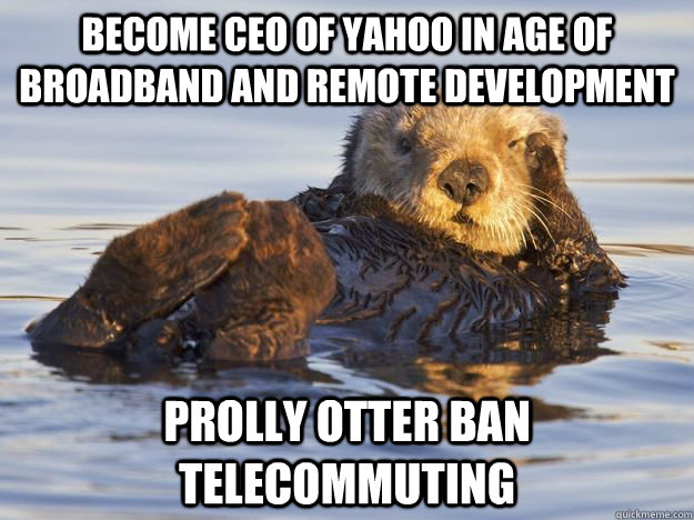 become ceo of yahoo in age of broadband and remote development prolly otter ban telecommuting  