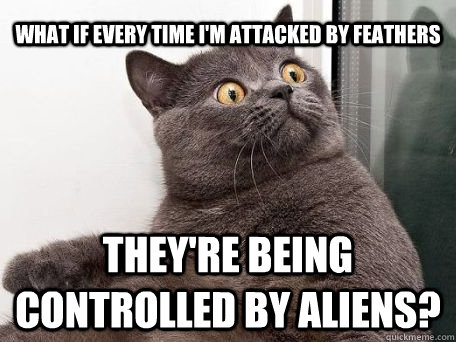 what if every time i'm attacked by feathers they're being controlled by aliens?  conspiracy cat