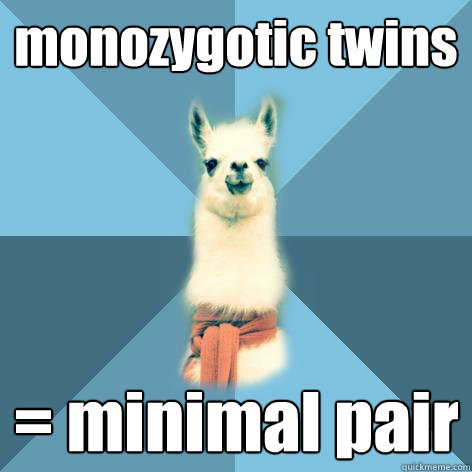 monozygotic twins = minimal pair  Linguist Llama