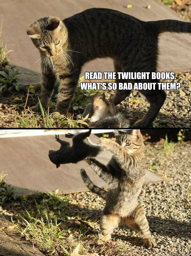 Read the Twilight books.
What's so bad about them? - Read the Twilight books.
What's so bad about them?  Annoying Squirrel