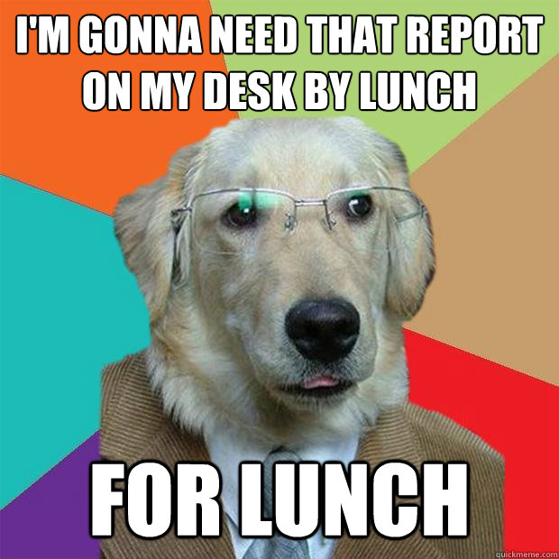 I'm gonna need that report on my desk by lunch for lunch  Business Dog