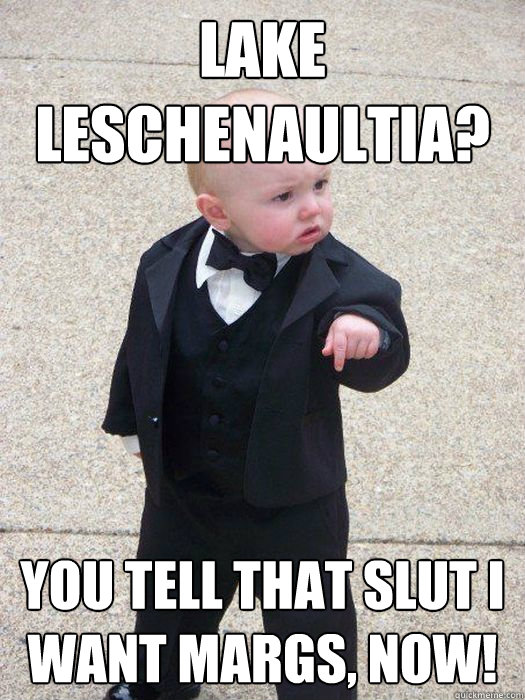 lake leschenaultia? You tell that slut i want margs, now!  Baby Godfather