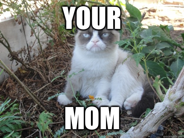 Your Mom - Your Mom  Misc