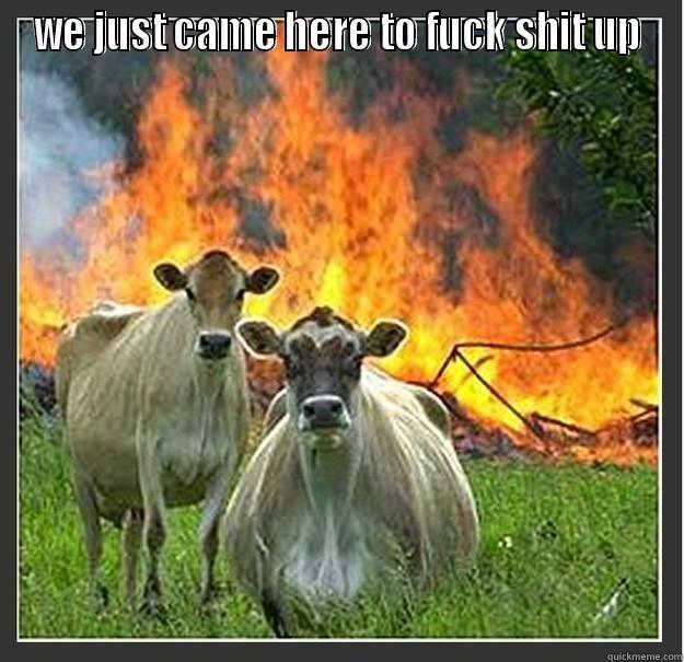 we fucked shit up - WE JUST CAME HERE TO FUCK SHIT UP  Evil cows