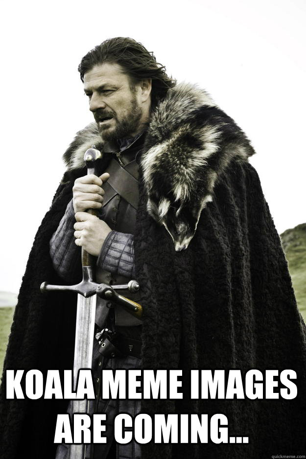  Koala meme images are coming...  Winter is coming