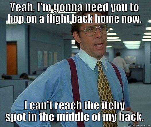 Scratch my back! - YEAH, I'M GONNA NEED YOU TO HOP ON A FLIGHT BACK HOME NOW. I CAN'T REACH THE ITCHY SPOT IN THE MIDDLE OF MY BACK. Office Space Lumbergh