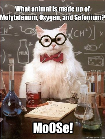 What animal is made up of Molybdenum, Oxygen, and Selenium?
 MoOSe! - What animal is made up of Molybdenum, Oxygen, and Selenium?
 MoOSe!  Chemistry Cat