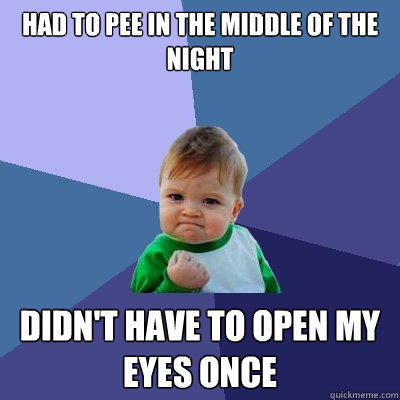 HAD to pee in the middle of the night didn't have to open my eyes once  Success Kid