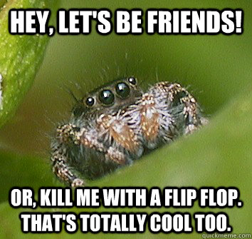 Hey, let's be friends! Or, kill me with a flip flop. That's totally cool too.  Misunderstood Spider