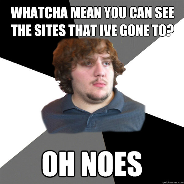 Whatcha mean you can see the sites that ive gone to? oh noes  Family Tech Support Guy