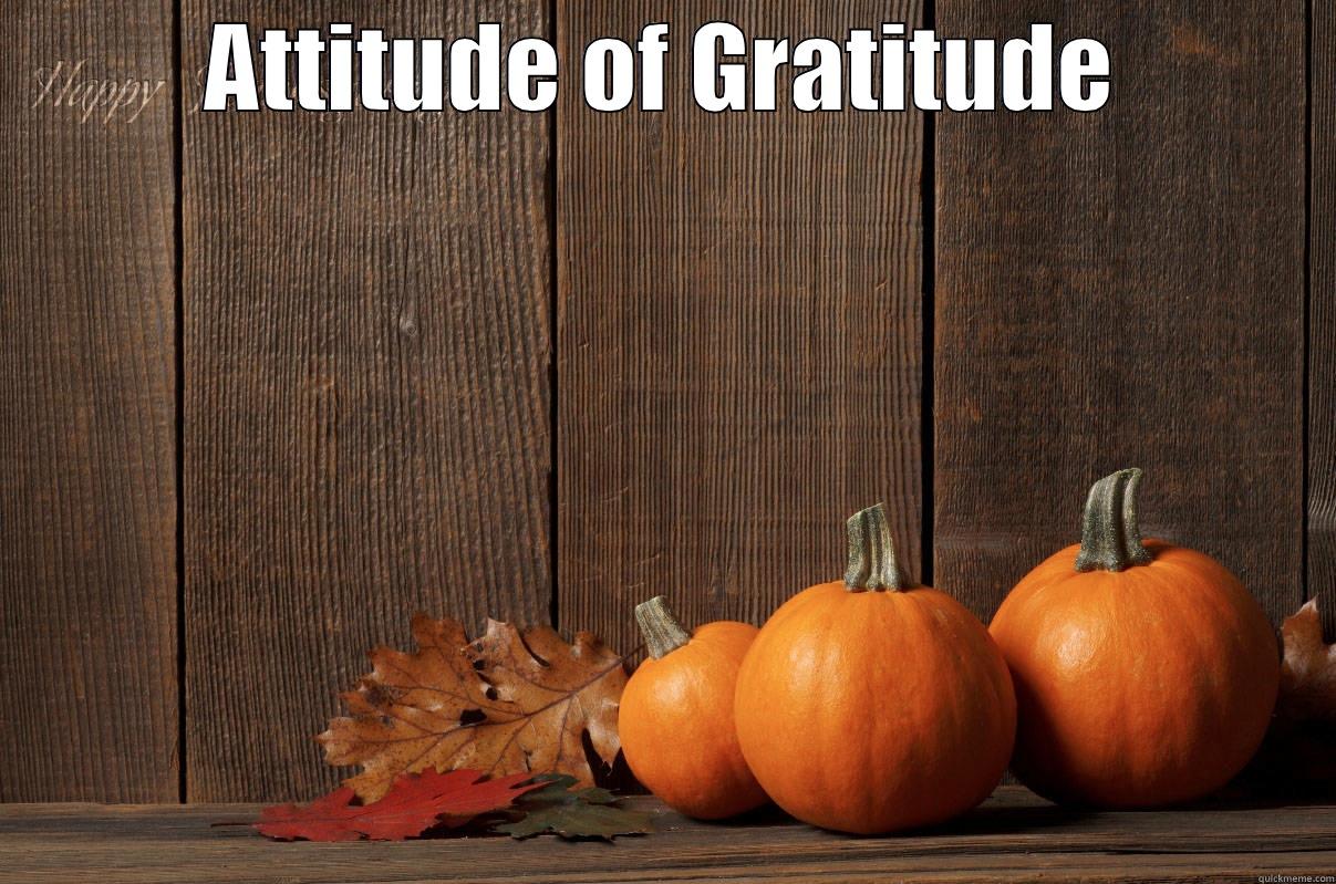 ATTITUDE OF GRATITUDE  Misc