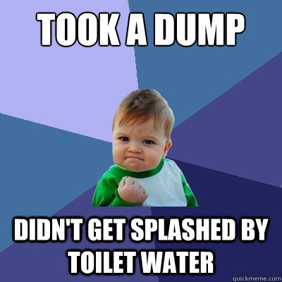 Took a dump Didn't get splashed by toilet water  Success Kid