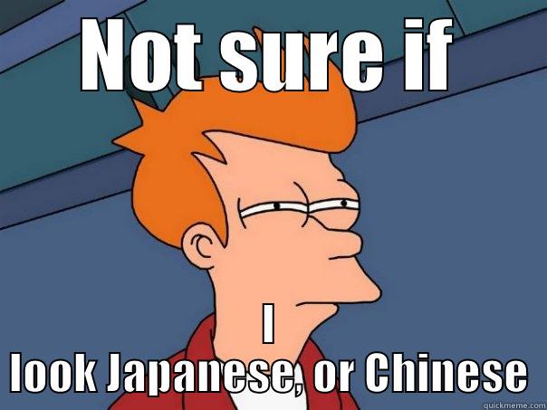 NOT SURE IF I LOOK JAPANESE, OR CHINESE Futurama Fry