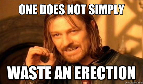 One Does Not Simply waste an erection  Boromir