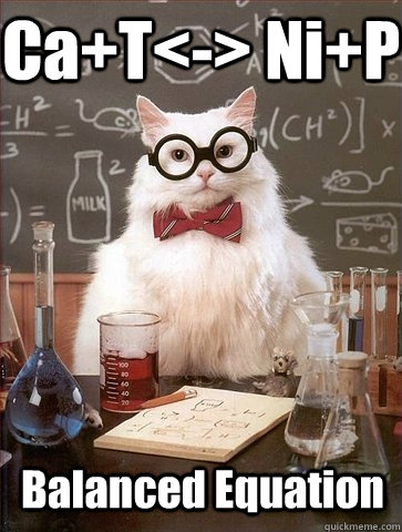 Ca+T<-> Ni+P Balanced Equation - Ca+T<-> Ni+P Balanced Equation  Chemistry Cat