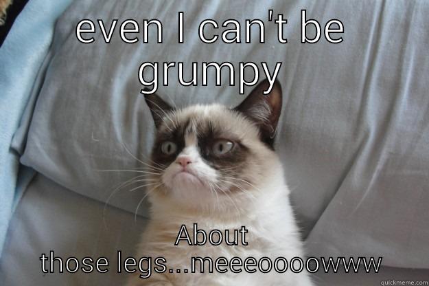 EVEN I CAN'T BE GRUMPY ABOUT THOSE LEGS...MEEEOOOOWWW Grumpy Cat