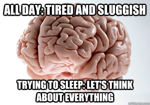 All Day: Tired and sluggish  Trying to sleep: LET's THINK ABOUT EVERYTHING - All Day: Tired and sluggish  Trying to sleep: LET's THINK ABOUT EVERYTHING  Scumbag Brain