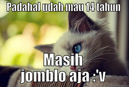 PADAHAL UDAH MAU 14 TAHUN MASIH JOMBLO AJA :'V First World Problems Cat