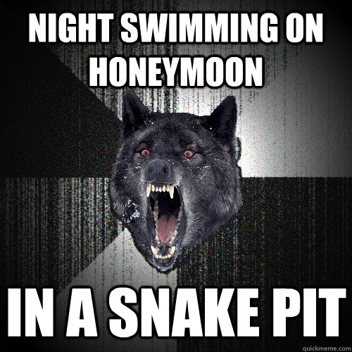 NIGHT SWIMMING ON HONEYMOON IN A SNAKE PIT - NIGHT SWIMMING ON HONEYMOON IN A SNAKE PIT  Insanity Wolf